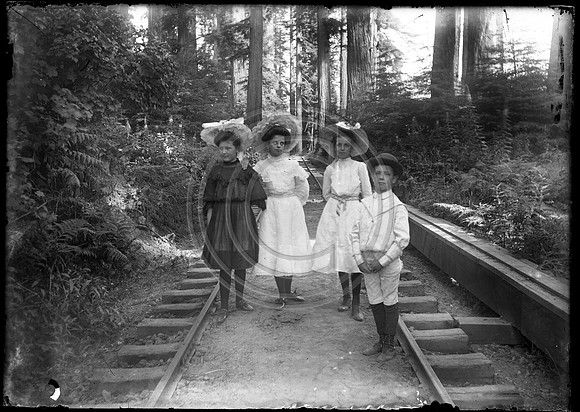 3 girls and a boy standing along RR tracks