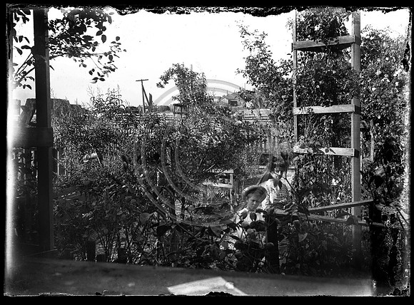 People in a garden