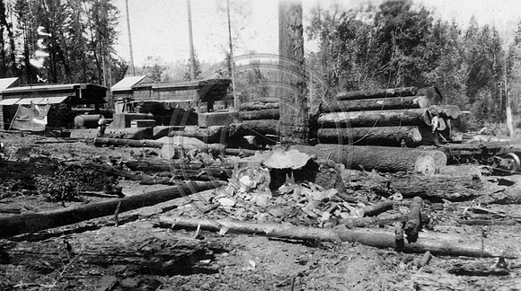 Electric Yarders & Winch, spar pole and load of logs circa 1928