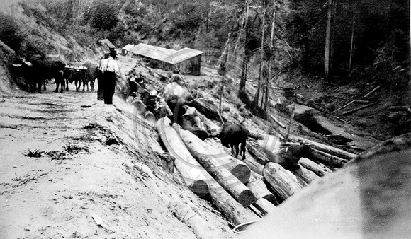 Oxen Wreck