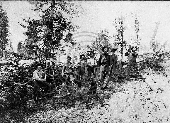 Logging crew posing on the side of hill