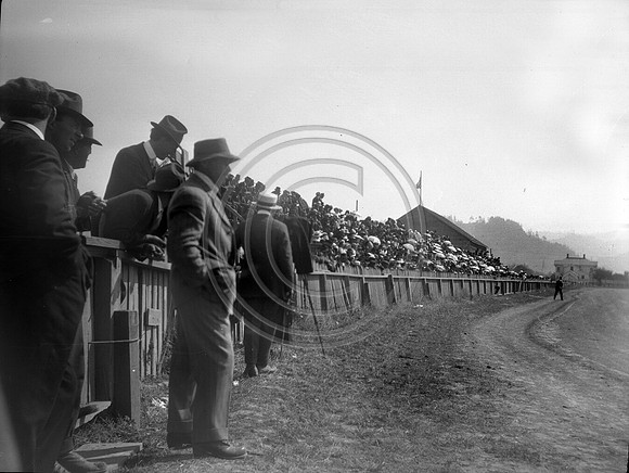 Ferndale horse races