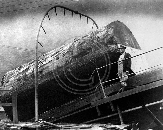 9 ft log on Crannell Log slip
