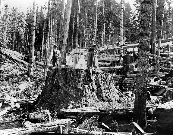 Pioneer Family on a Redwood stump