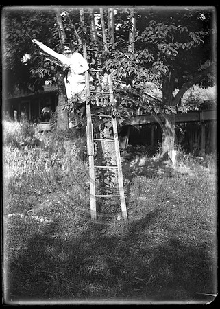 Lady Picking fruit scanned 3-27-2012 from 5x7 glass neg