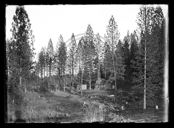 Old Cabin in the woods SCANNED @2400 dpi from 5x7 glass negative