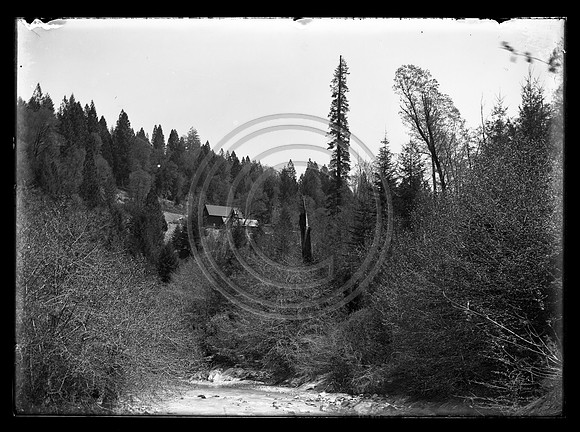 Old Homestead scanned 4-13-2012 from 5x7 glass negative