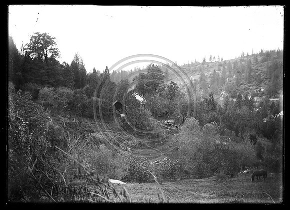 Old Homestead with horse in field scanned 4-13-2012 from 5x7 glass negative