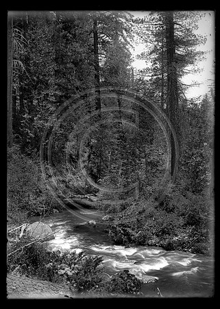 Small Waterfall Scanned 3-30-2012 from Glass Negative