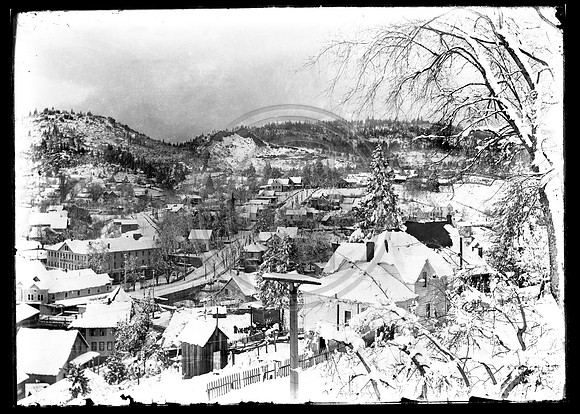 Winter Scene scanned from 5x7 glass plate 3-28-2012