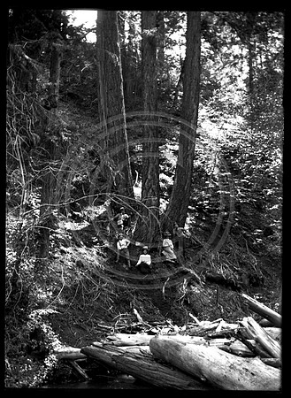 Victorian group under a tree