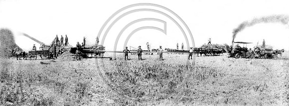 Threshing in Humboldt County California
