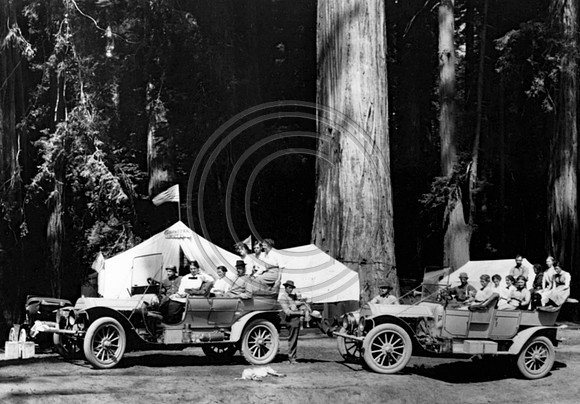 Autos in the Redwoods