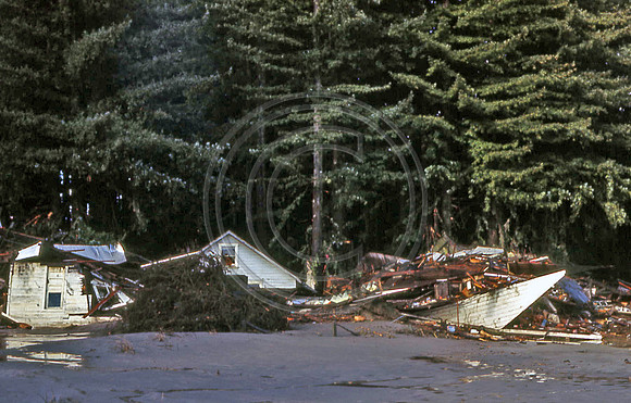 NORTH PEPPERWOOD