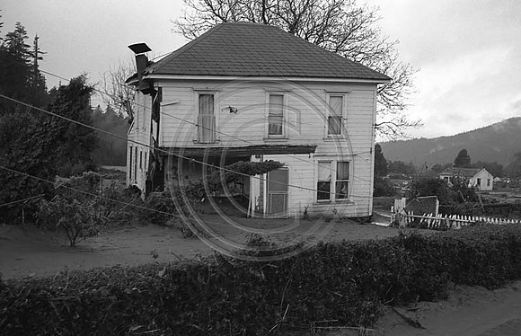 1964 Flood #469 Pepperwood