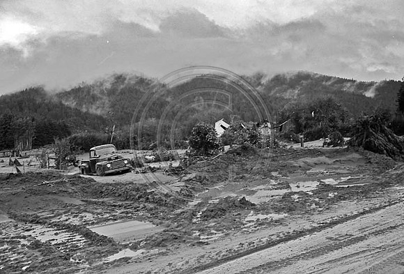 1964 Flood #471 Pepperwood