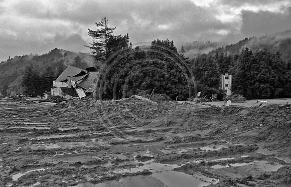 1964 Flood #472 Central Pepperwood