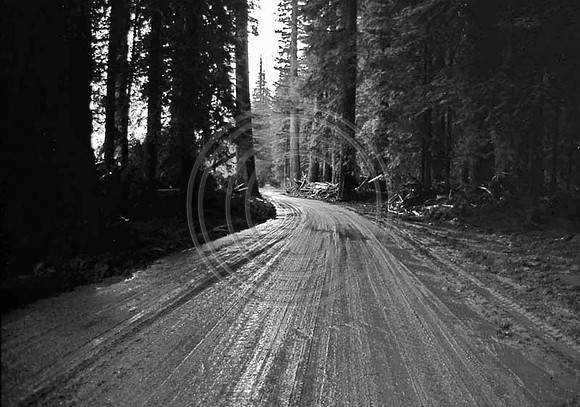 1964 Flood #478 Avenue South of Pepperwood