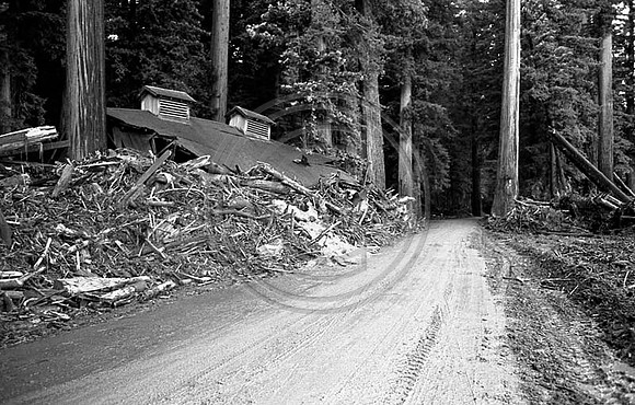 1964 Flood #479 Avenue South of Pepperwood