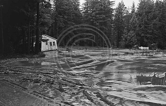1964 Flood #483 North Pepperwood