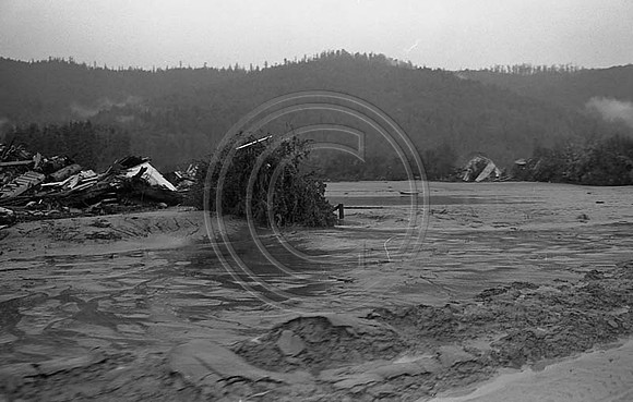 1964 Flood #485 Pepperwood_1