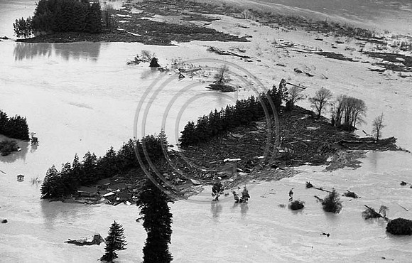 1964 Flood #503 Pepperwood