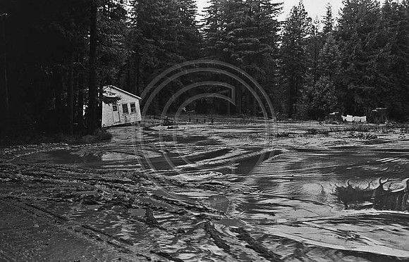 1964_Flood_#483_North_Pepperwood_2