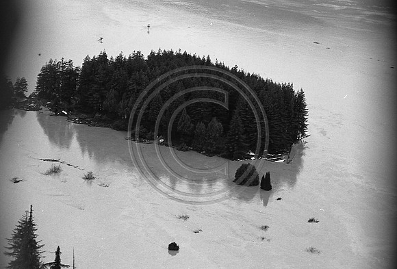 1964 Flood #502 Pepperwood