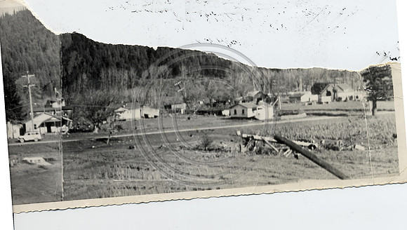 PEPPERWOOD FLOOD 1955