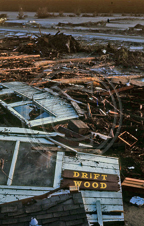 PEPPERWOOD DRIFT WOOD
