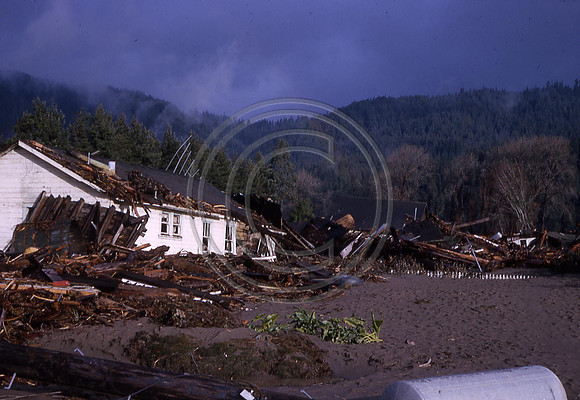 PEPPERWOOD HOUSES AND DEBRIS AGAINST TREE LINE