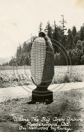 PEPPERWOOD ORIGINAL COB CARVED BY ALBERT PORTER 1944