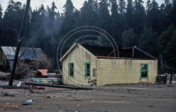 PEPPERWOOD SOUTH ROOF GONE