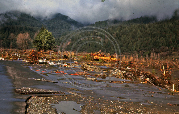PEPPERWOOD SHELL STATION 2