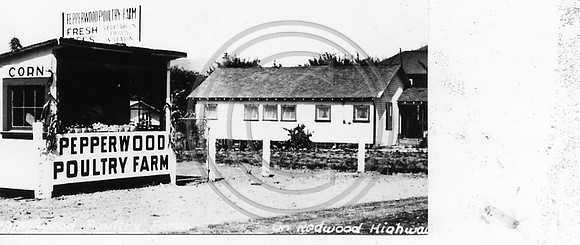 PEPPERWOOD STAND 1960