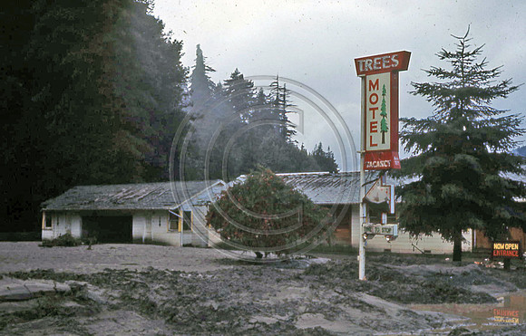 PEPPERWOOD SOUTH TREES MOTEL