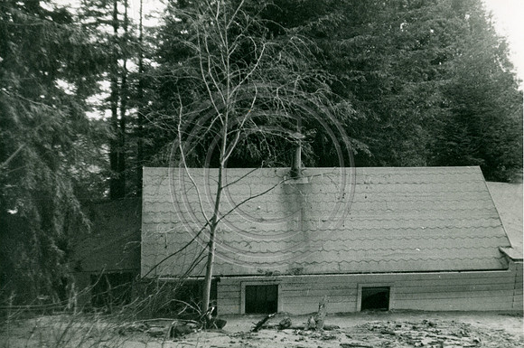 Shady Nook near Pepperwood Jan 2, 1956