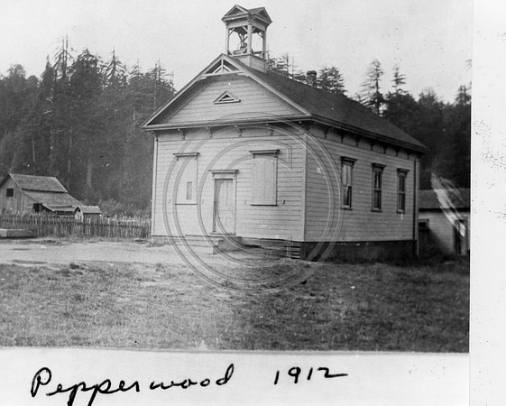 PEPPERWOOD 1912