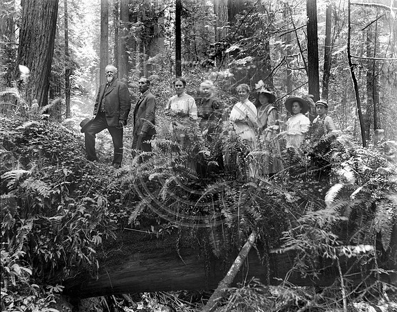 Canyon Park Metropolittan 1900 LT to RT Drinkwater and wally McIntyre and Stella McIntyre