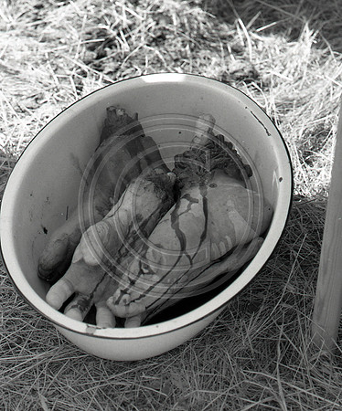 Untitled-33