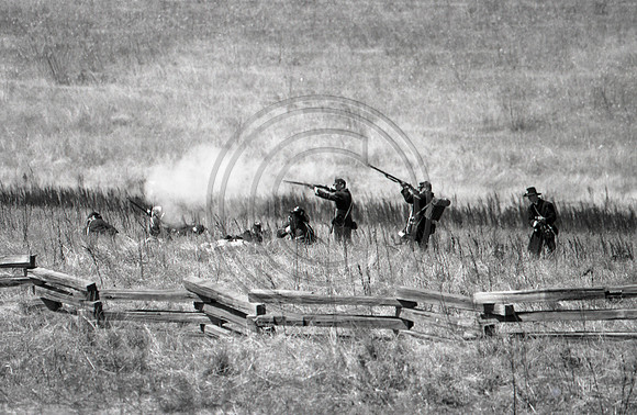 Untitled-50