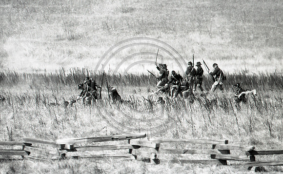 Untitled-20