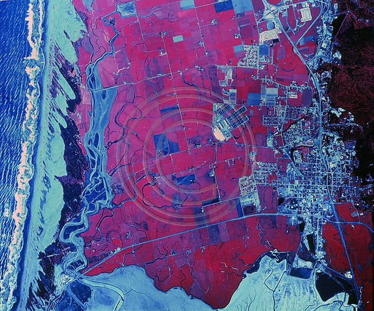 arcata bottoms 1974