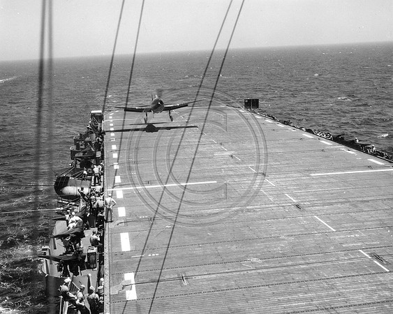 Navy F-6 F Hellcat Coming in for a landing