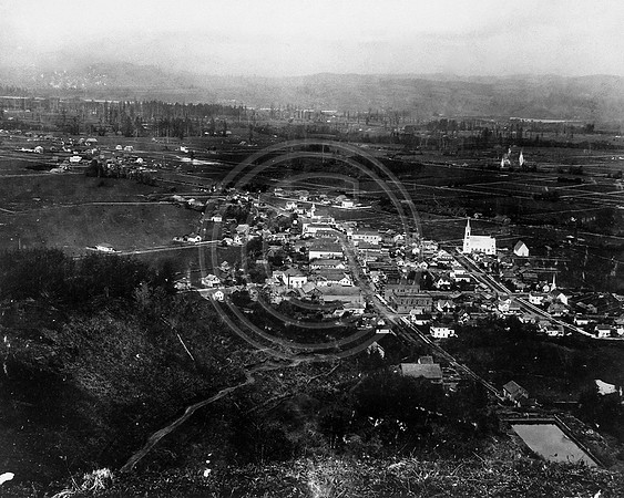 Ferndale c.1800s