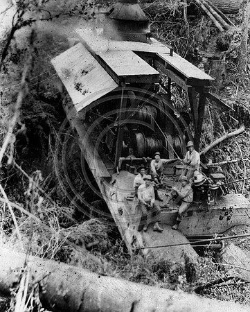 McCoy,May,George,Johnie,Ben&Earl Hunter Dragging a Steam donkey