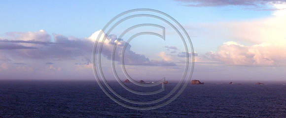 Whale Rock
