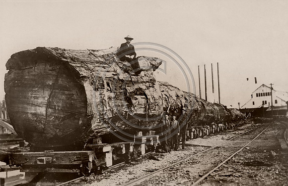 MILL A - RDWD LOG on way to mill