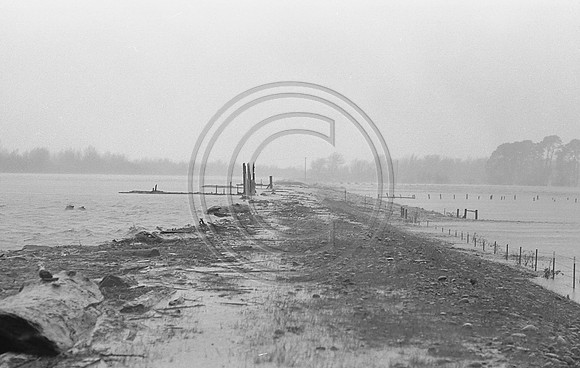 Top of the levee near Fortuna