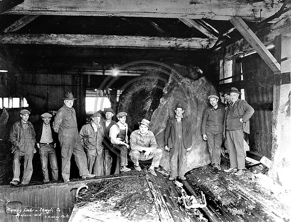 Mumby Lumber Company